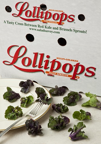 Kale Sprouts, Lollipops (4 lbs, approx 250 ct/cs, Salinas)